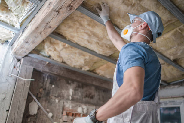 Best Commercial Insulation Services  in Owosso, MI