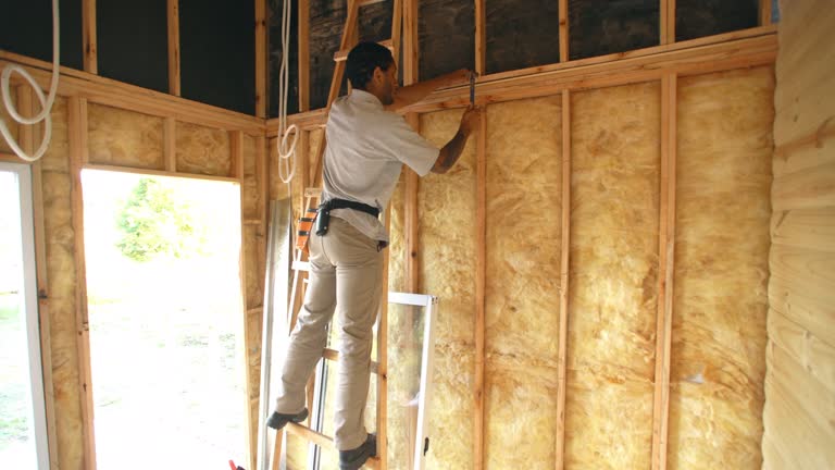 Best Insulation for New Construction  in Owosso, MI